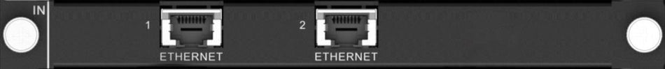 H_2xRJ45 IP input card